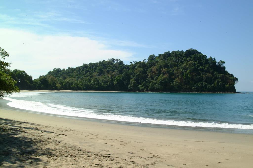 Hotel Coco Beach Manuel Antonio Eksteriør bilde
